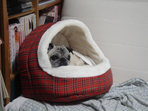 2008-11-23_19-35-08.jpg