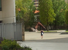 20120430_163046.jpg