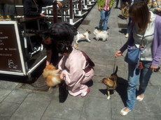 20120501_141726.jpg