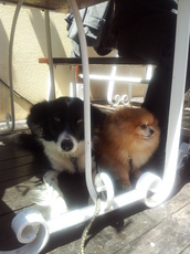 20120501_141912.jpg