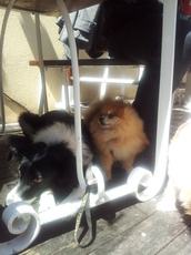 20120501_141923.jpg