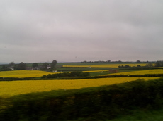 20120503_093625.jpg
