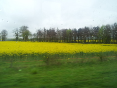 20120503_115749.jpg