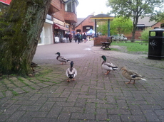 20120503_121442.jpg