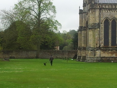 20120503_134029.jpg