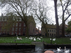 20120504_112827.jpg