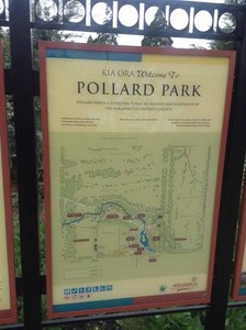 20121229154145-ipad.jpg