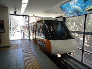 20130105105325-s.JPG