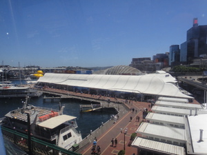20130105110333-s.JPG
