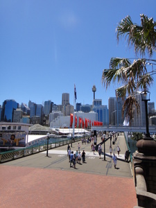 20130105110611-s.JPG