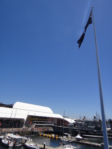 20130105111542-s.JPG