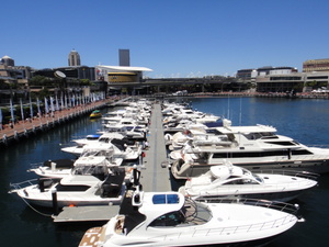 20130105111929-s.JPG