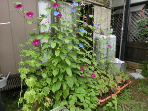 CIMG0048.JPG
