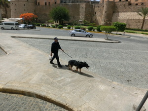 CIMG0638.JPG