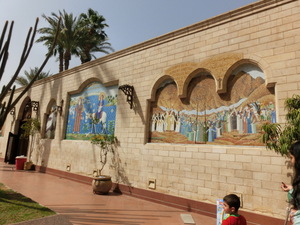 CIMG0656.JPG