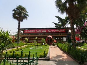 CIMG0687.JPG