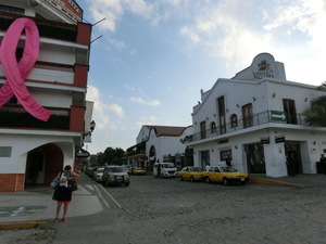 CIMG3470.JPG
