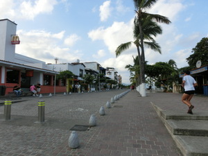 CIMG3471.JPG