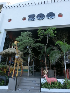CIMG3503.JPG