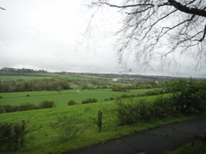 DSC04017.JPG