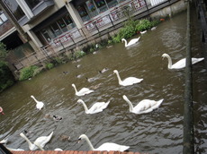 DSC04026.JPG