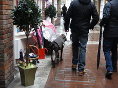DSC04056.JPG
