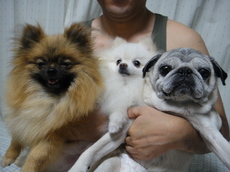 DSC05454.JPG