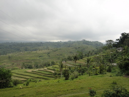 DSC06050.JPG