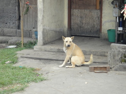 DSC06095.JPG
