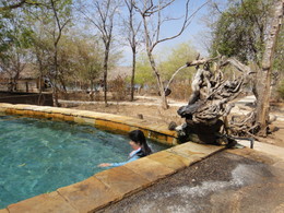 DSC06686.JPG
