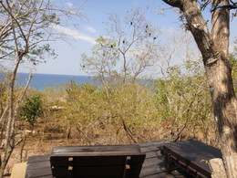 DSC06690.JPG