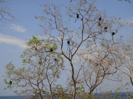 DSC06691.JPG