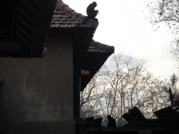 DSC06721.JPG