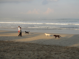 DSC07102.JPG