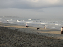 DSC07103.JPG