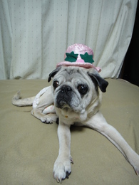 DSC08007.JPG