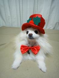 DSC08016.JPG