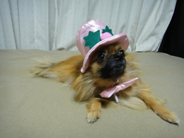 DSC08027.JPG
