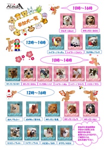 参加犬一覧0118.jpg